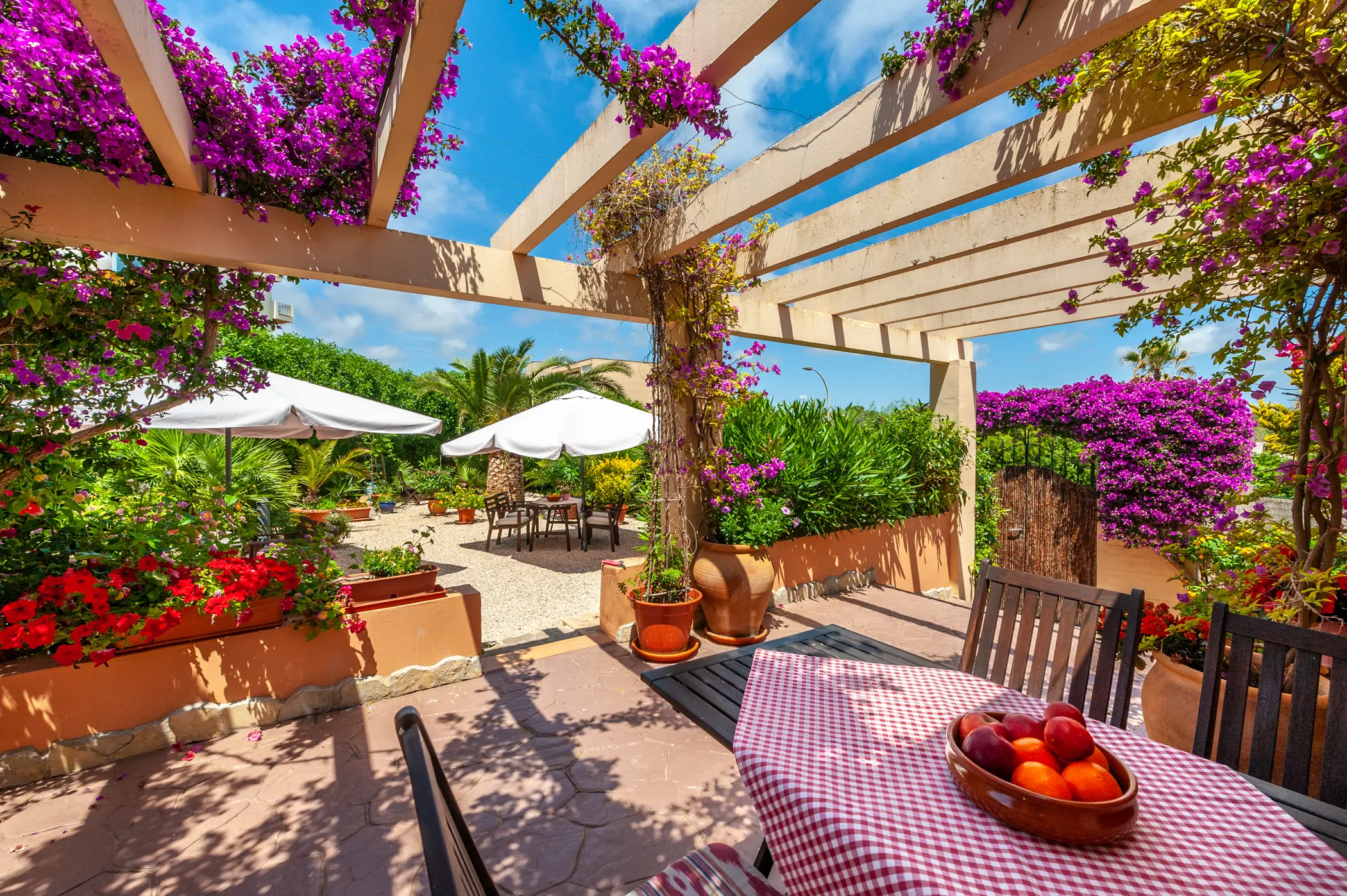 Terrasse unter der Pergola mit Bougainvillea