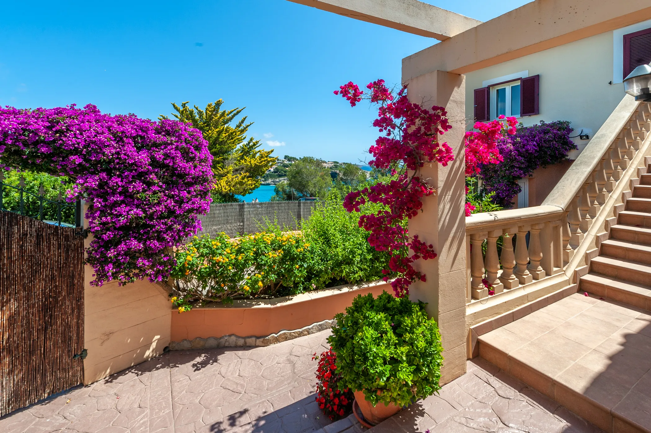 Treppenaufgang mit Bougainvillea